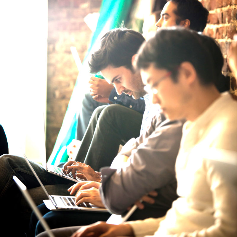 A row of data analysts working on laptops