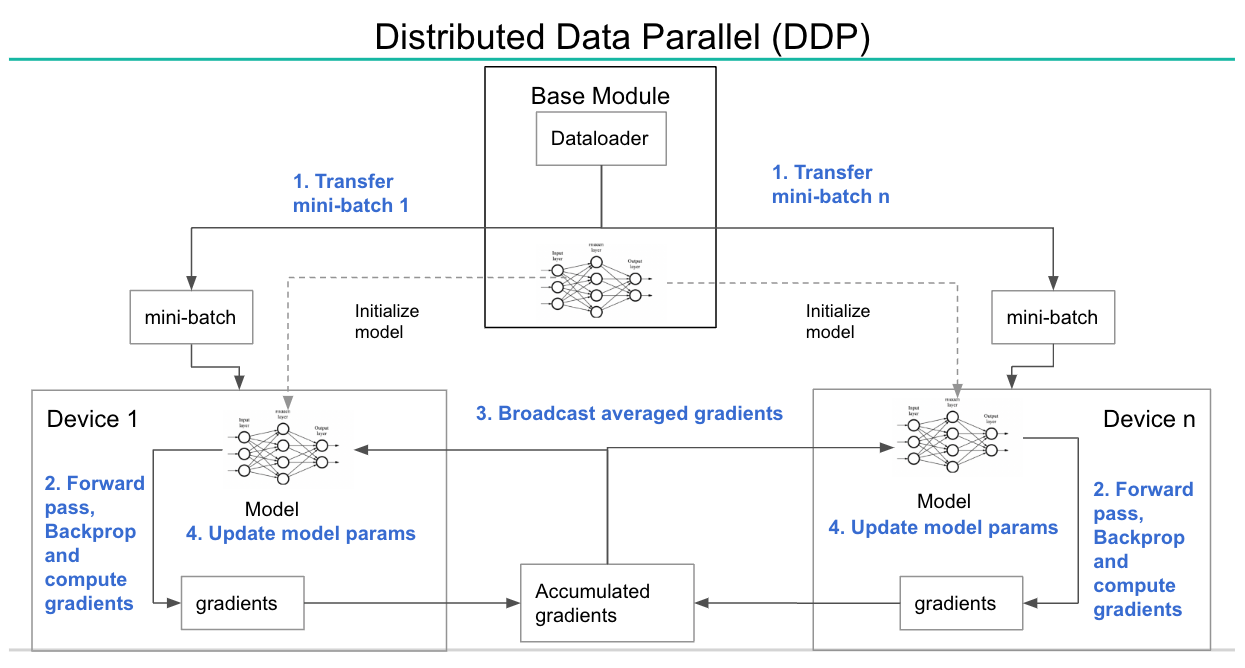 Diagram illustrating the steps executed when using Distributed Data Parallel strategy for model training